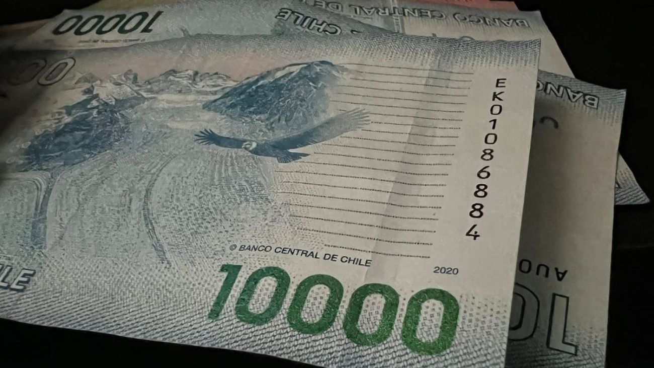 Seguro de Cesantía en Chile: red de protección para desempleados