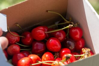 China destruye 5 millones de cajas de cerezas chilenas en mal estado