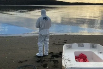 Hallan cadáver de hombre de 78 años en San Juan, Magallanes