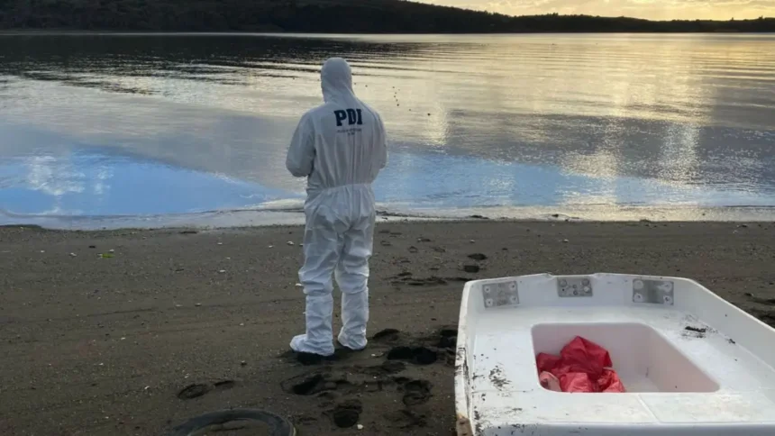 Hallan cadáver de hombre de 78 años en San Juan, Magallanes