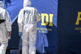 Hallan osamentas de hombre desaparecido en 2014 en río Toltén