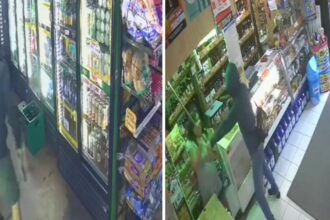 Valiente locataria defiende almacén durante violento asalto en Los Ángeles