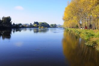 Tragedia en Osorno: Niño de cinco años muere al caer al río