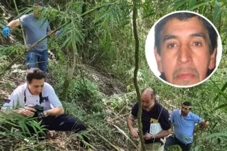 Identifican osamentas en río Toltén: corresponden a hombre desaparecido en 2014