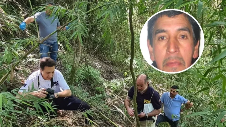 Identifican osamentas en río Toltén: corresponden a hombre desaparecido en 2014