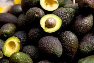 Chile y Perú compiten por liderazgo en palta hacia 2030