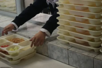 Beneficios y detalles del Programa de Alimentación Escolar en Chile