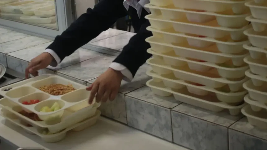Beneficios y detalles del Programa de Alimentación Escolar en Chile