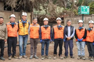 Inversionistas chinos exploran instalaciones del Grupo Minero Las Cenizas en Chile