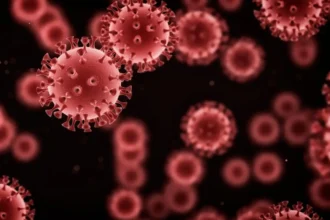 Nuevo caso de Hanta Virus en Ñuble: Detalles y precauciones necesarias