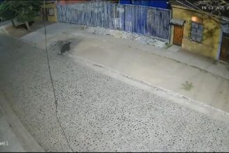 Siete detenidos por millonario robo en comercializadora de Concepción