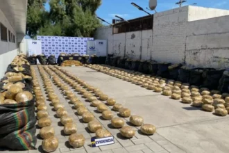 Gran decomiso de drogas en región norte de Chile: más de 3 toneladas incautadas