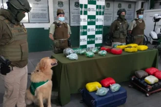 Carabineros decomisan 24 kilos de droga en bus interregional hacia Los Ángeles