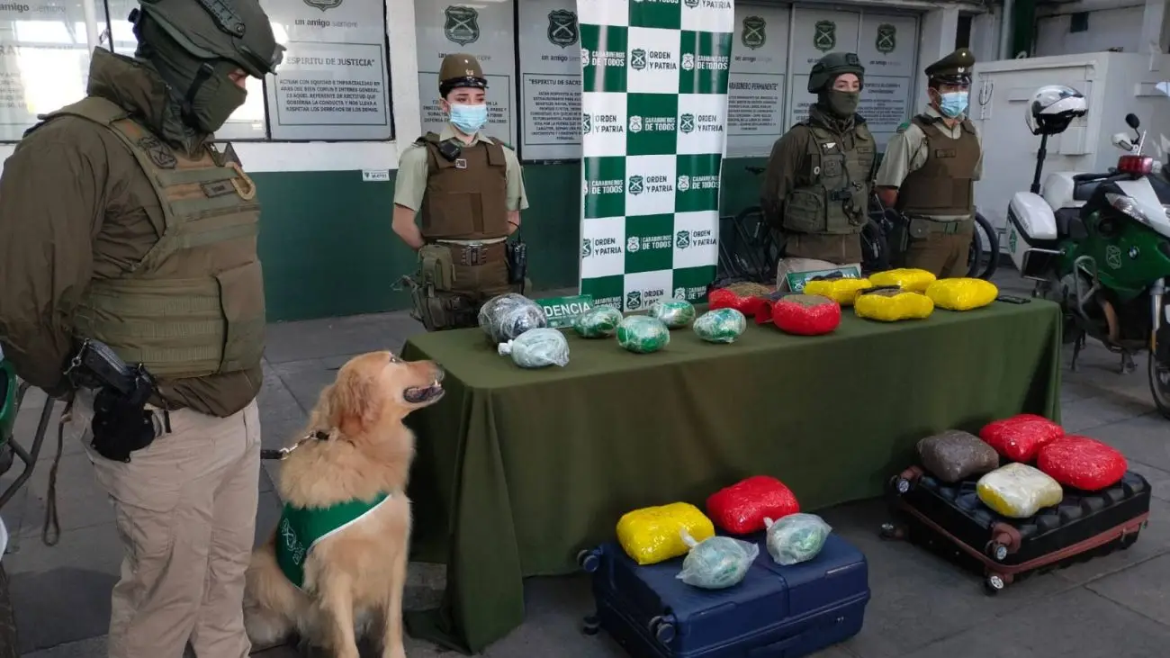Carabineros decomisan 24 kilos de droga en bus interregional hacia Los Ángeles Carabineros decomisan 24 kilos de droga en bus interregional hacia Los Ángeles
