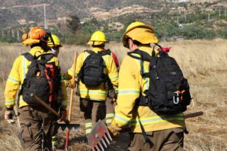 Paro de funcionarios de Conaf en La Araucanía desata controversia laboral