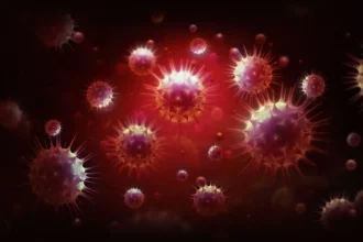 Alerta en Los Ríos por tercer caso de virus Hanta