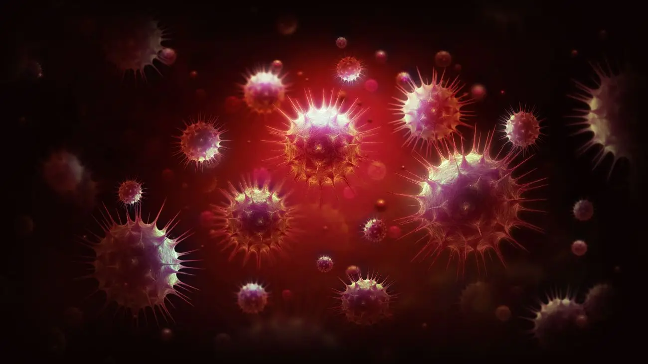 Alerta en Los Ríos por tercer caso de virus Hanta Alerta en Los Ríos por tercer caso de virus Hanta