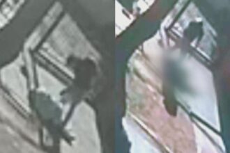 Hombre muere tras brutal robo en Peñalolén: Investigación en curso