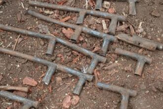 Hallan ocho armas hechizas en predio Santa Herminia de San Juan