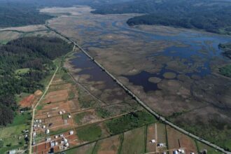 Incumplimientos en protección de humedales urbanos en Valdivia y Los Lagos