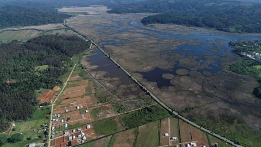 Incumplimientos en protección de humedales urbanos en Valdivia y Los Lagos