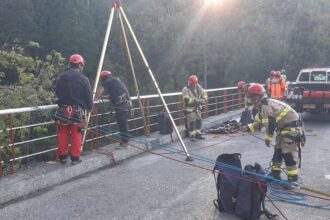 Trágico accidente en Futrono: mujer fallece tras caer desde Puente Blanco