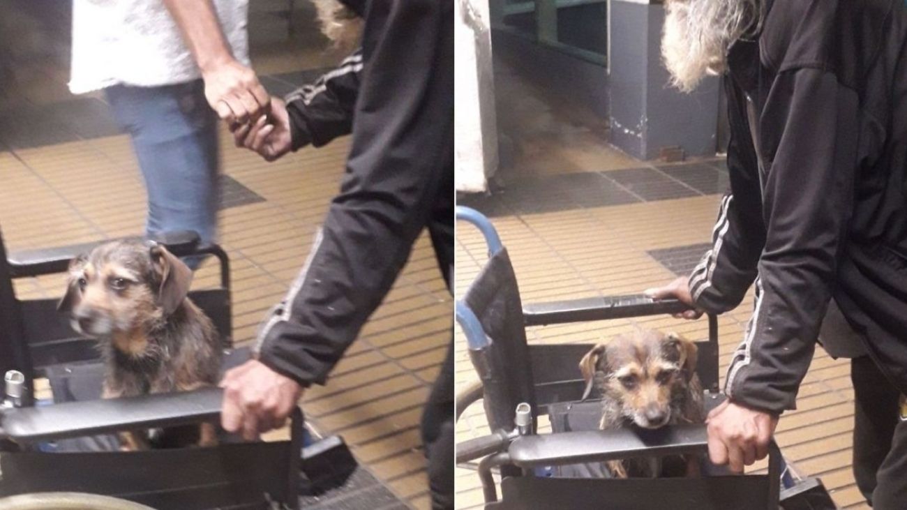 Robo del andador a adulto mayor conmueve y genera solidaridad