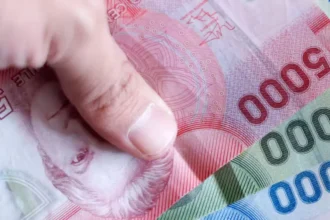 Bono de Invierno 2025: Ayuda económica sin postulación para adultos mayores