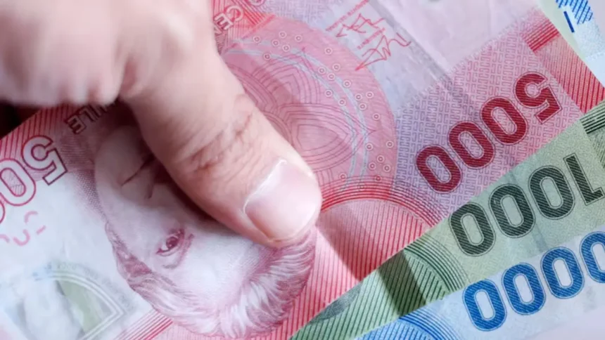 Bono de Invierno 2025: Ayuda económica sin postulación para adultos mayores