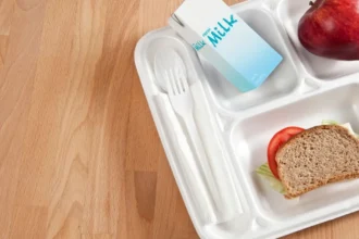 Programa de Alimentación Escolar en Chile: Nutrición para estudiantes chilenos