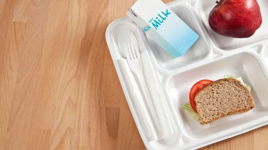 Programa de Alimentación Escolar en Chile: Nutrición para estudiantes chilenos