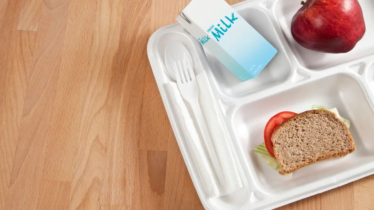 Programa de Alimentación Escolar en Chile: Nutrición para estudiantes chilenos Programa de Alimentación Escolar en Chile: Nutrición para estudiantes chilenos