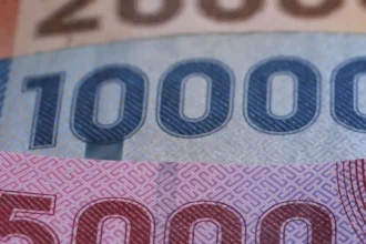 Bono de Invierno 2025: $81.257 para adultos mayores sin postulación