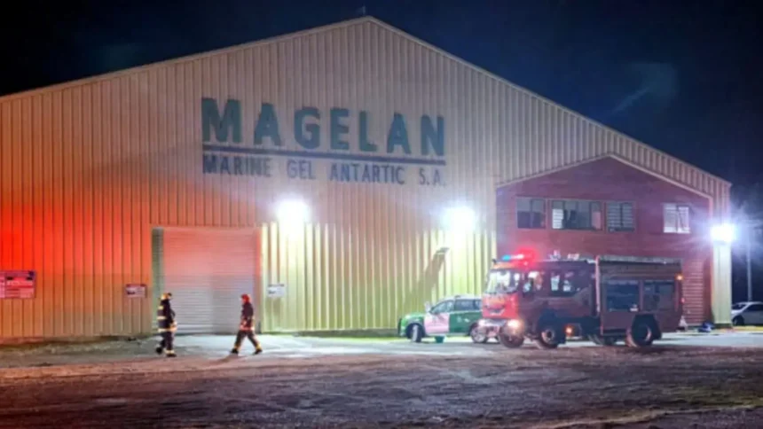 Trágico accidente en fábrica de carragenina deja dos trabajadores en estado crítico