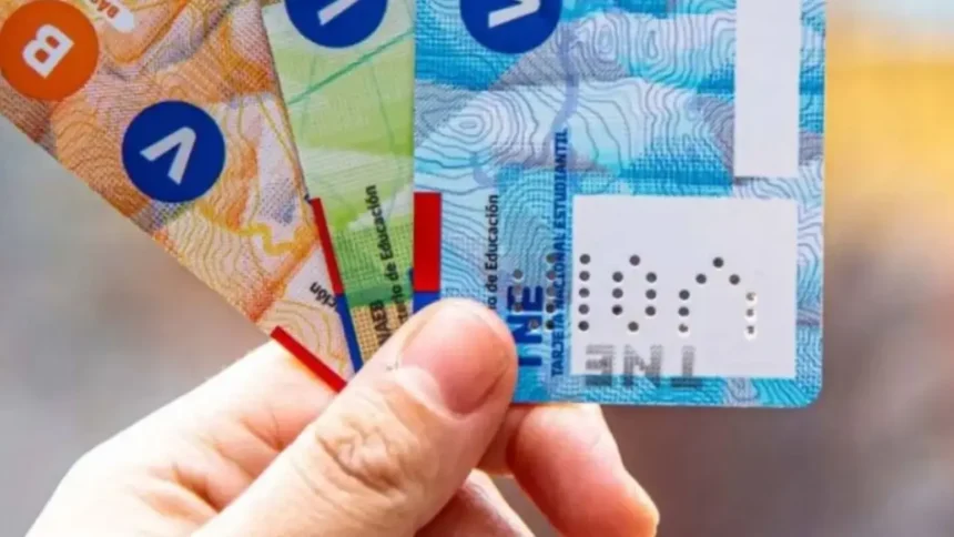 Revalida tu TNE antes del 31 de mayo para mantener beneficios