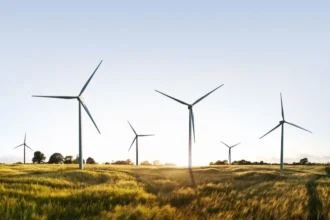 Firmando un acuerdo de cooperación en energías limpias con China