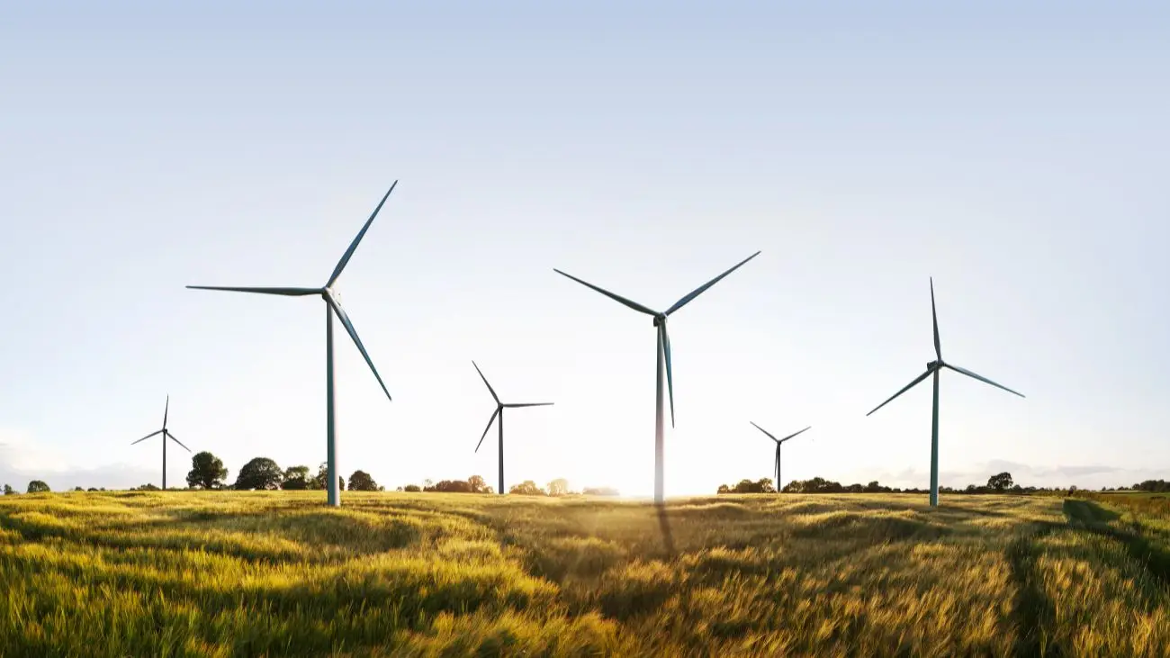 Firmando un acuerdo de cooperación en energías limpias con China