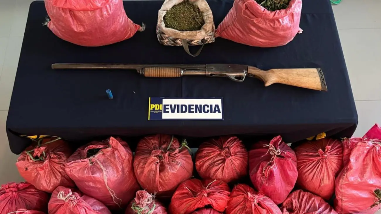 Desarticulan banda de cultivo de cannabis en Nogales: cinco detenidos