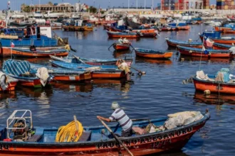 Pescadores artesanales en alerta por cuotas de pesca en Senado