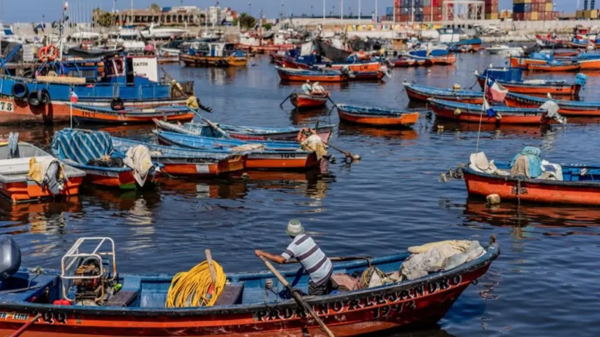 Pescadores artesanales en alerta por cuotas de pesca en Senado