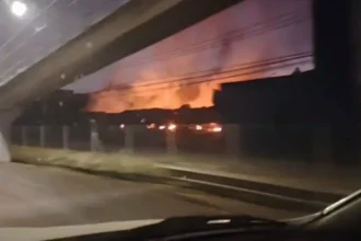 Reactivación de incendio en planta frutícola de Paine preocupa a autoridades
