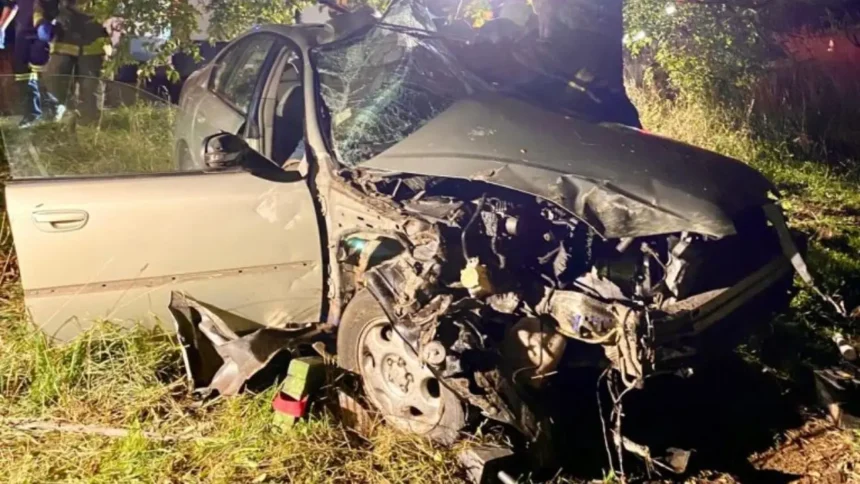 Trágico accidente en Futrono: dos personas fallecidas tras choque fatal