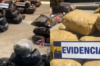 Desarticulan red criminal de tráfico de drogas en Arica y Parinacota