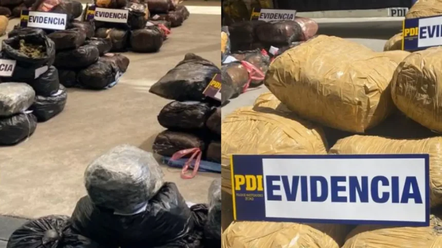 Desarticulan red criminal de tráfico de drogas en Arica y Parinacota
