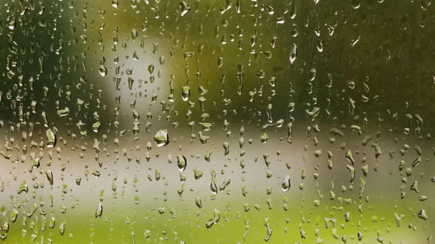 Se pronostican lluvias en varias regiones de Chile el viernes 11