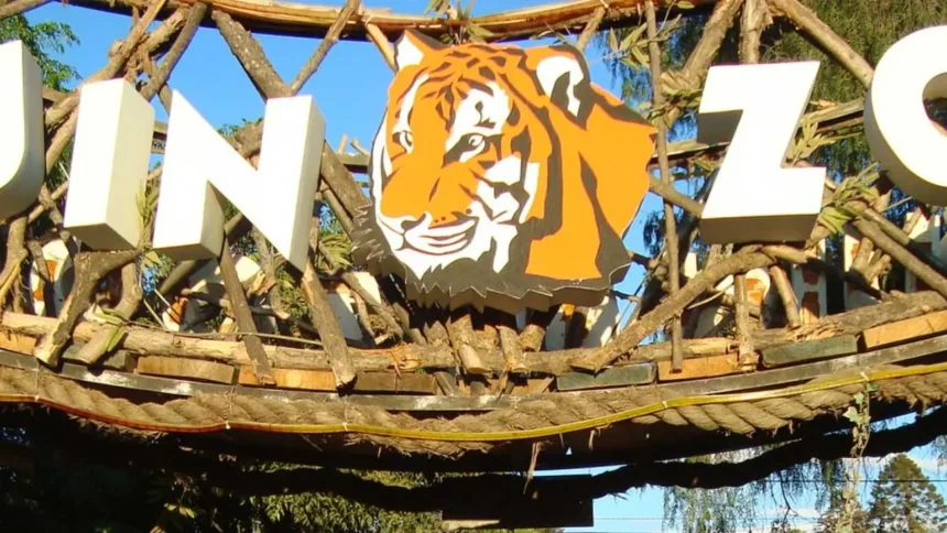 Buin Zoo busca regularizar instalaciones con declaración de impacto ambiental