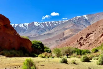 Proyecto de prospección minera en Alto del Carmen con visita técnica del SEA