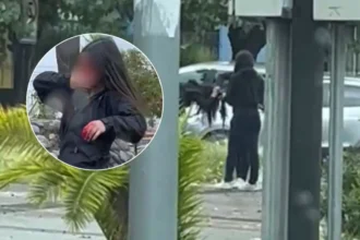 Violento ataque en Colegio Providencia de Parral deja estudiantes heridas