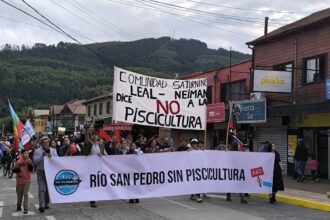 Comunidades mapuches apelan fallo contra salmonera en río San Pedro
