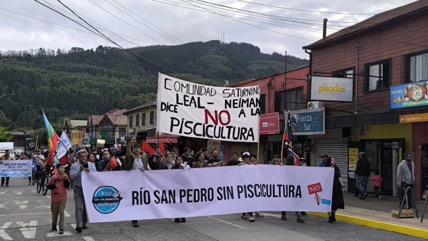 Comunidades mapuches apelan fallo contra salmonera en río San Pedro